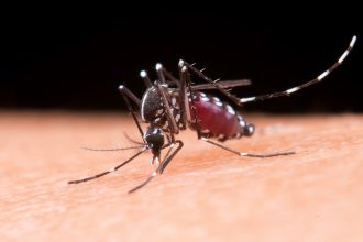 presidente-prudente-confirma-mais-duas-mortes-por-dengue-neste-ano-e-obitos-chegam-a-14