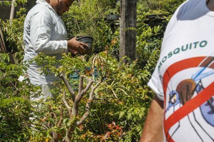 dengue:-sp,-mg-e-pr-concentram-73%-dos-casos-e-86%-dos-obitos