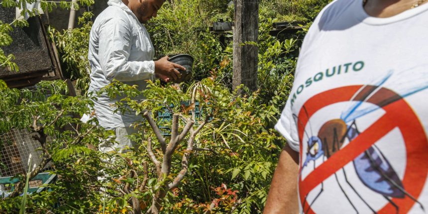dengue:-sp,-mg-e-pr-concentram-73%-dos-casos-e-86%-dos-obitos