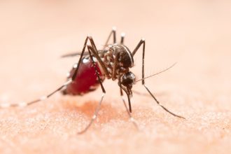 presidente-prudente-chega-a-19-mortes-por-dengue-neste-ano