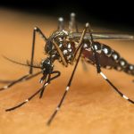 ministerio-da-saude-anuncia-acoes-de-enfrentamento-a-dengue-em-presidente-prudente-e-rancharia