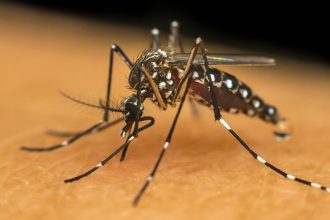 ministerio-da-saude-anuncia-acoes-de-enfrentamento-a-dengue-em-presidente-prudente-e-rancharia