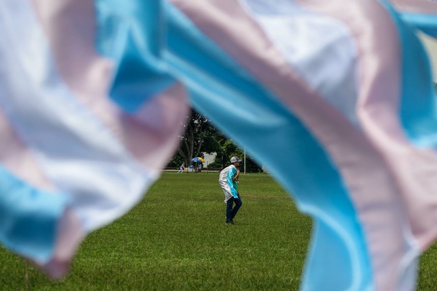 mpf-instaura-procedimento-para-investigar-resolucao-do-cfm-sobre-jovens-trans