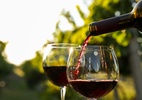producao-e-consumo-de-vinhos-batem-minimas-em-decadas-com-clima,-preco-e-mudanca-comportamental