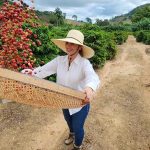 cafe-brasileiro-conquista-chile,-e-exportacoes-crescem-170%-em-5-anos