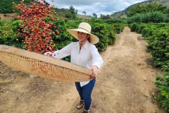 cafe-brasileiro-conquista-chile,-e-exportacoes-crescem-170%-em-5-anos