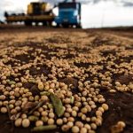 secretaria-de-agricultura-dos-eua-aponta-avanco-do-brasil-em-negociacoes-com-a-china