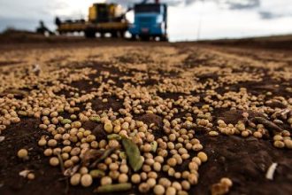 secretaria-de-agricultura-dos-eua-aponta-avanco-do-brasil-em-negociacoes-com-a-china