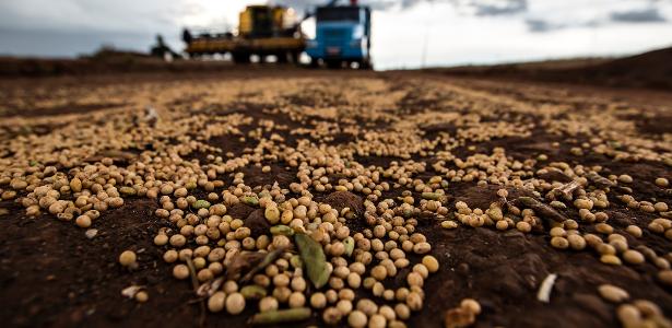 secretaria-de-agricultura-dos-eua-aponta-avanco-do-brasil-em-negociacoes-com-a-china