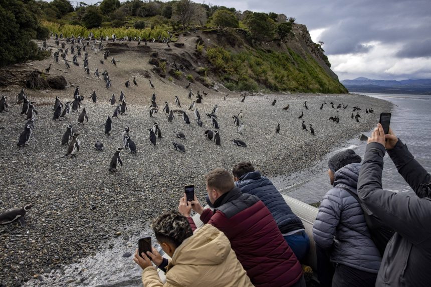 invasao-de-turistas-rumo-a-antartida-infla-precos-e-agrava-crise-em-ushuaia