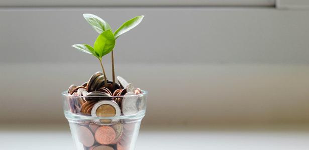 grana-sem-drama:-3-formas-praticas-para-comecar-a-investir-ainda-neste-mes