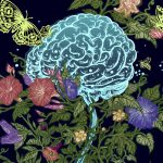 estrogenio-e-mais-que-um-hormonio-sexual-e-molda-o-cerebro-durante-toda-vida
