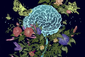 estrogenio-e-mais-que-um-hormonio-sexual-e-molda-o-cerebro-durante-toda-vida