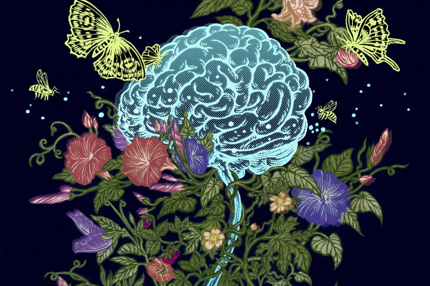 estrogenio-e-mais-que-um-hormonio-sexual-e-molda-o-cerebro-durante-toda-vida