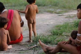 numero-de-obitos-no-territorio-yanomami-teve-reducao-de-21%-em-2024