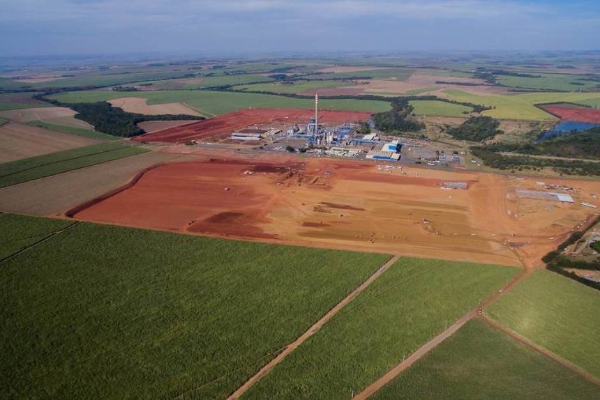expansao-de-celulose-ligada-a-grupo-estrangeiro-cria-conflito-com-produtores-de-cana-em-sp