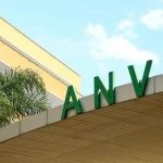 anvisa-proibe-venda-de-duas-marcas-de-azeite-por-irregularidades-sanitarias