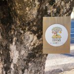 projeto-fruto-da-leitura-espalha-sacolas-personalizadas-com-livros-em-arvores,-em-dracena